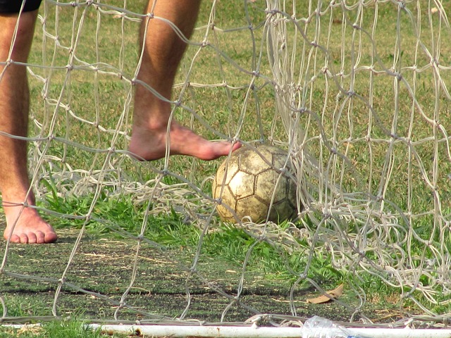 運動員貢獻