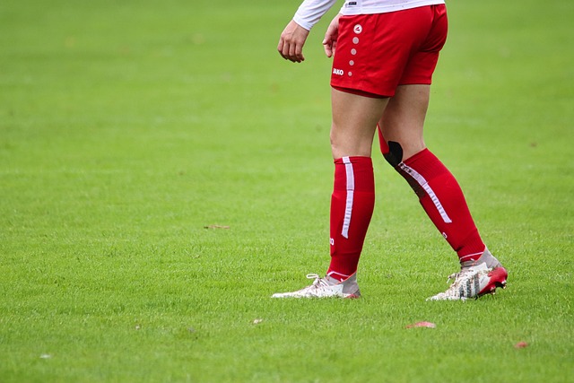 悠然自得 悠然自得