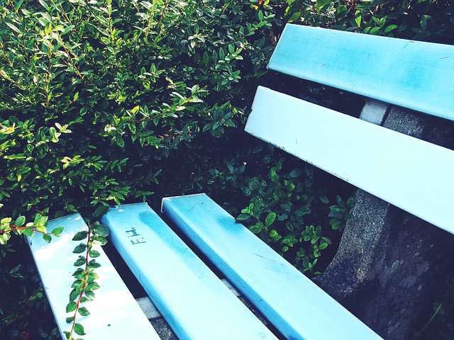 长远的战略 长远的战略