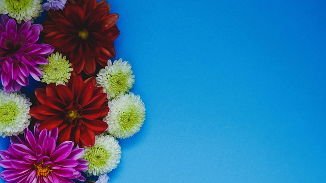 对于球队管 对于球队管