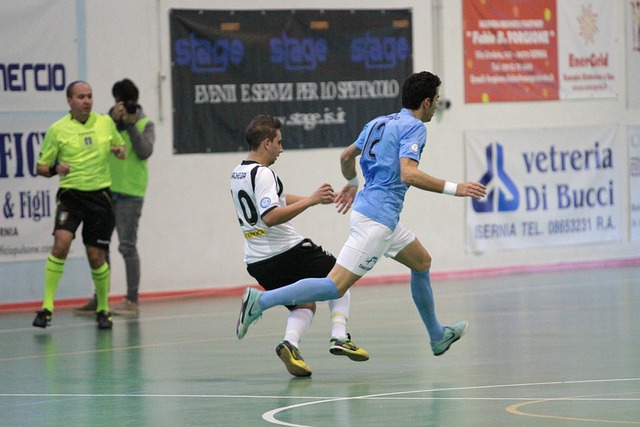 风力涡轮机 风力涡轮机