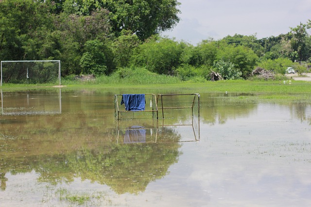 显然没有达 显然没有达
