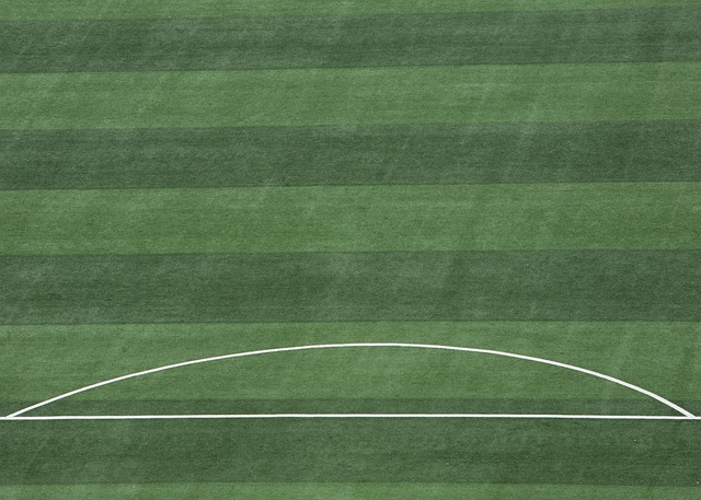 节奏与方向 节奏与方向