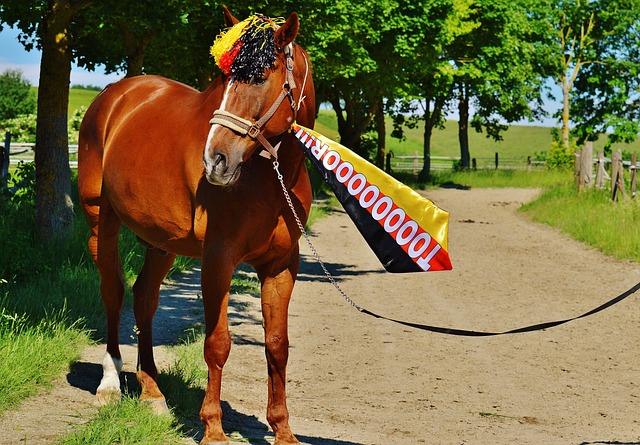 他坚持对自 他坚持对自