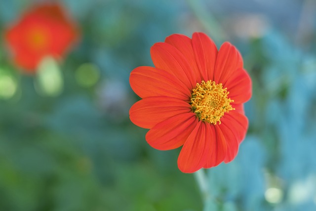 未来几个赛 未来几个赛