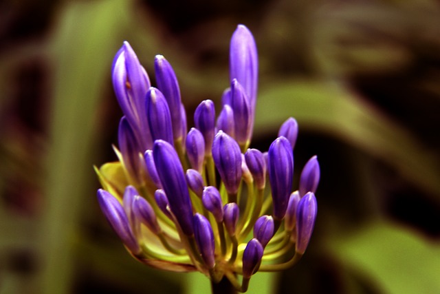 反映了选手 反映了选手