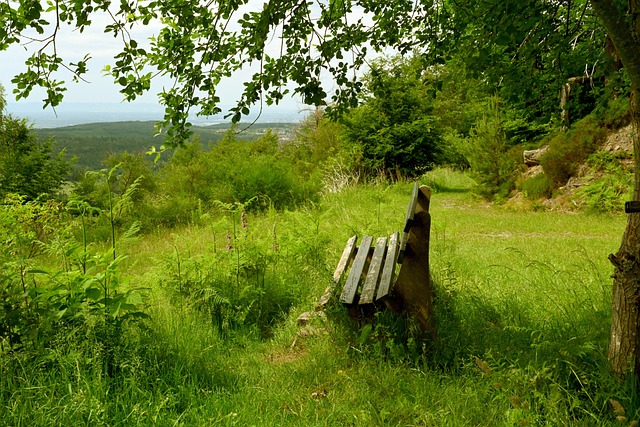 友的不满 友的不满