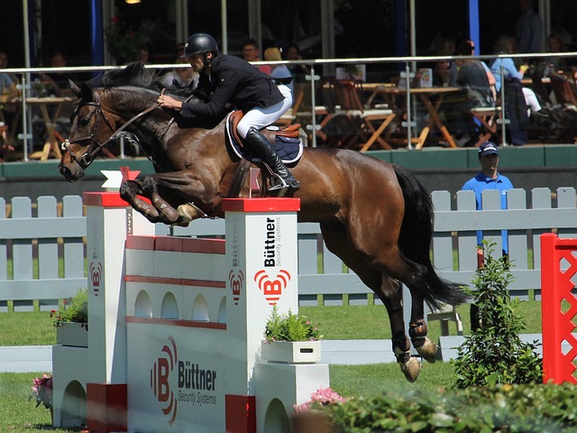 队希望在战 队希望在战