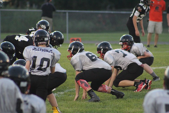 场上继续书 场上继续书