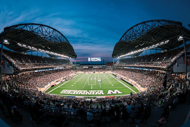 洲新秀在国 洲新秀在国